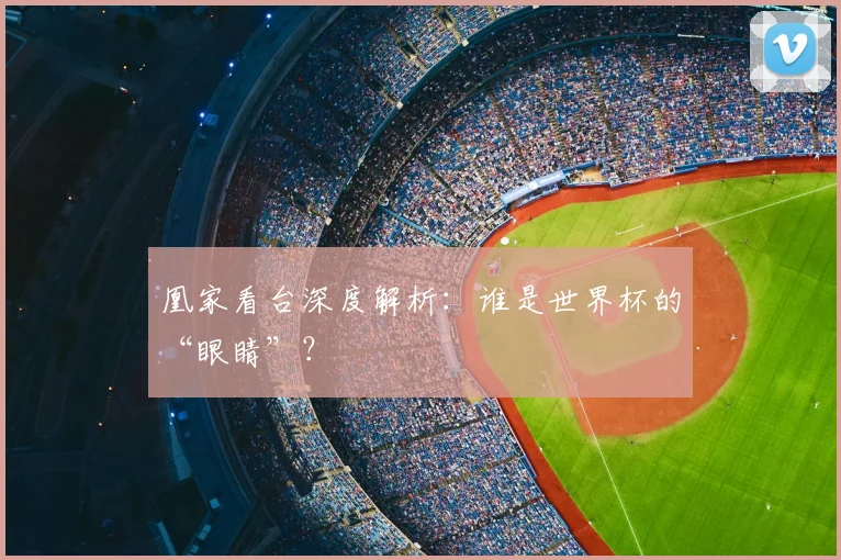凰家看台深度解析:谁是世界杯的“眼睛”?