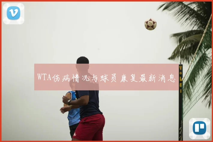 WTA伤病情况与球员康复最新消息