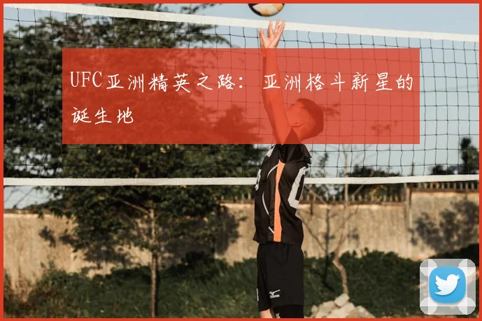 UFC亚洲精英之路：亚洲格斗新星的诞生地
