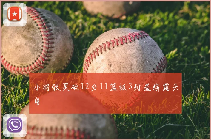 小将张昊砍12分11篮板3封盖崭露头角