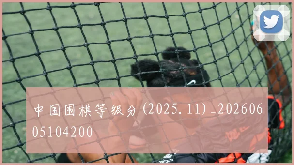 中国围棋等级分(2025.11)_20260605104200