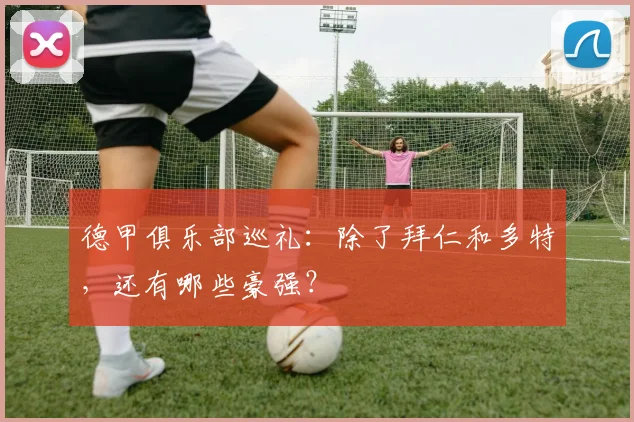 德甲俱乐部巡礼:除了拜仁和多特,还有哪些豪强?