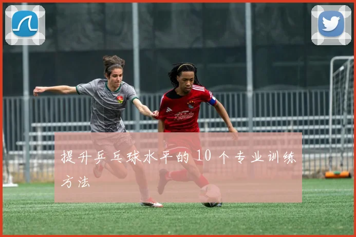 提升乒乓球水平的 10 个专业训练方法