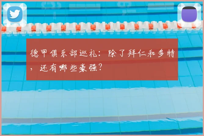 德甲俱乐部巡礼:除了拜仁和多特,还有哪些豪强?