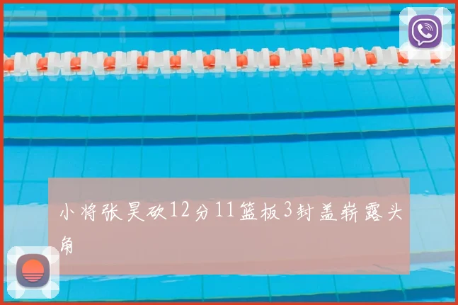 小将张昊砍12分11篮板3封盖崭露头角