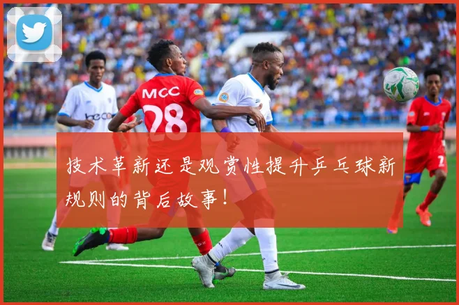 技术革新还是观赏性提升乒乓球新规则的背后故事!