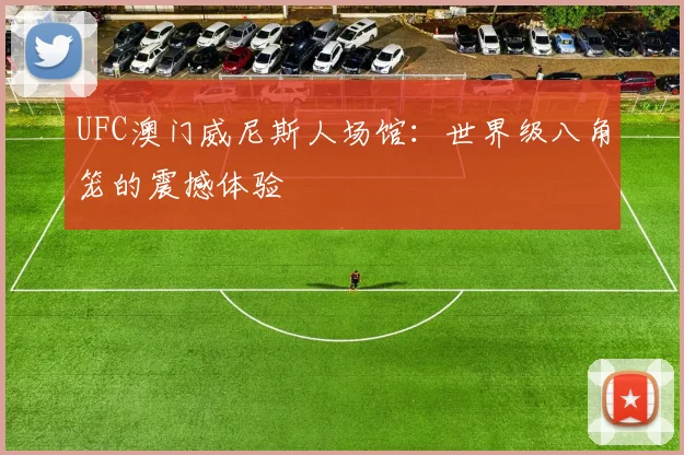 UFC澳门威尼斯人场馆:世界级八角笼的震撼体验