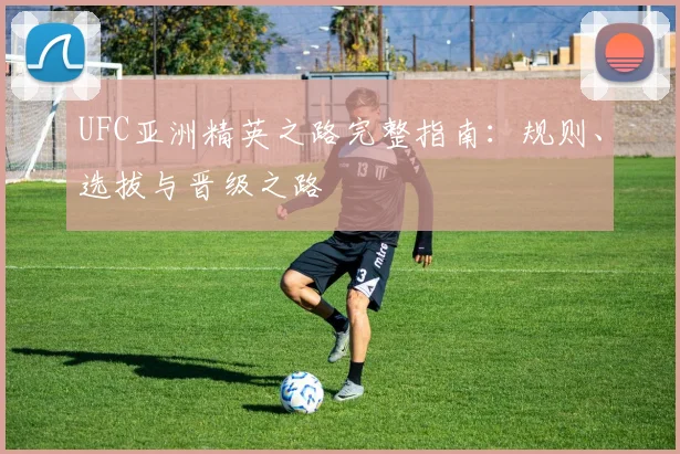 UFC亚洲精英之路完整指南：规则、选拔与晋级之路