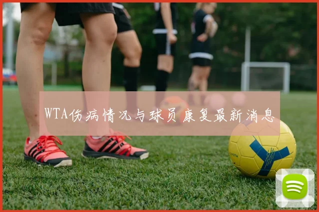WTA伤病情况与球员康复最新消息