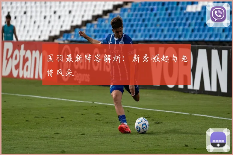国羽最新阵容解析:新秀崛起与老将风采