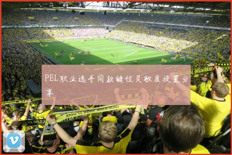 PEL职业选手同款键位灵敏度设置分享