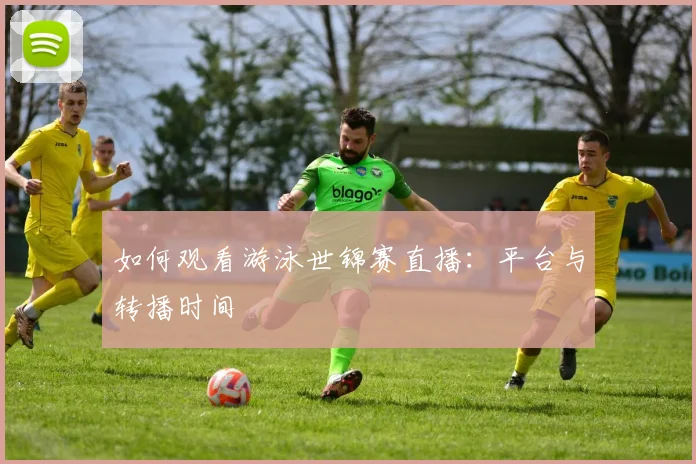 如何观看游泳世锦赛直播:平台与转播时间