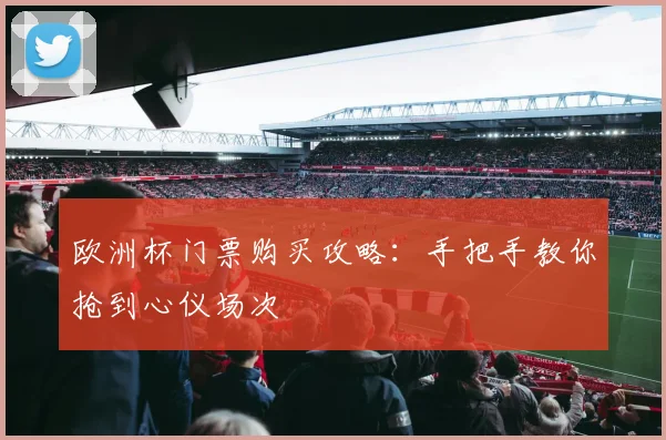欧洲杯门票购买攻略：手把手教你抢到心仪场次