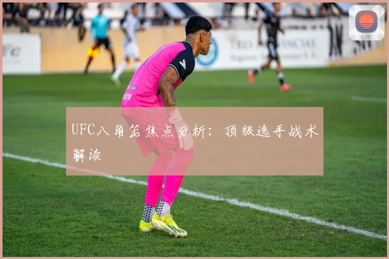 UFC八角笼焦点分析:顶级选手战术解读